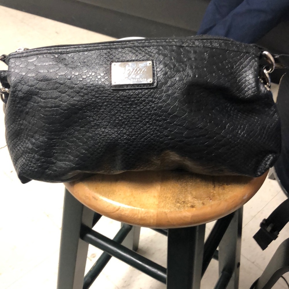 Sofia Vergara handbag